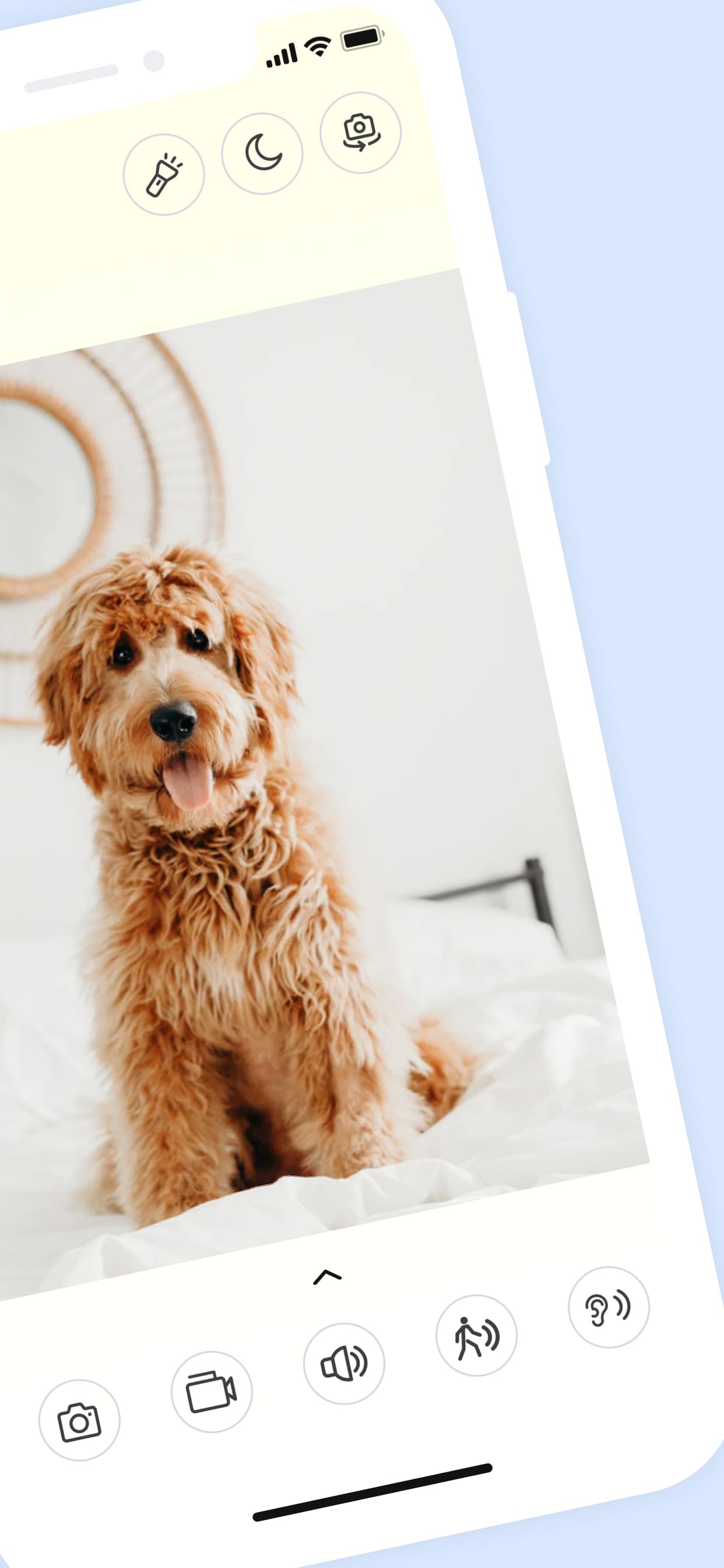 pet surveillance camera